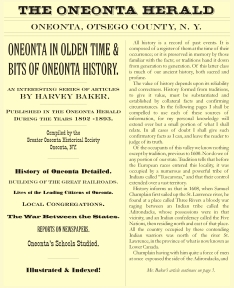 Oneonta in Olden Time - book cover image